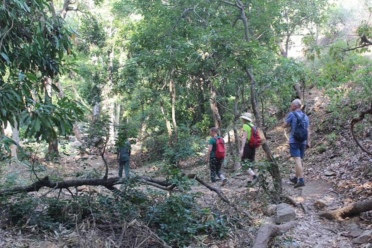 Chinnar tour di un giorno nella valle selvaggia (di Munnar Info) — 4