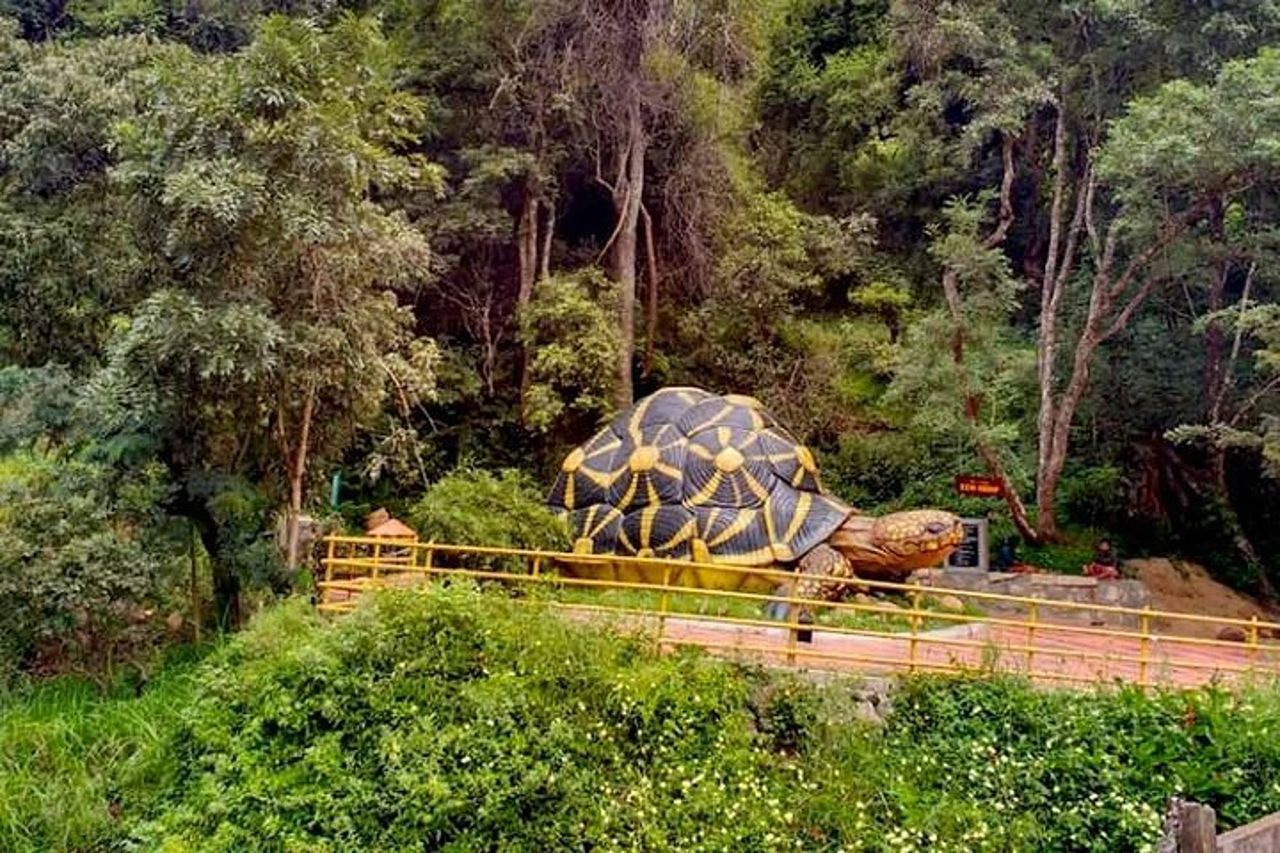Chinnar tour di un giorno nella valle selvaggia (di Munnar Info) — 5