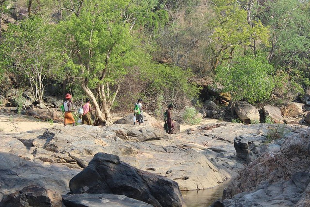 Chinnar tour di un giorno nella valle selvaggia (di Munnar Info) — 6