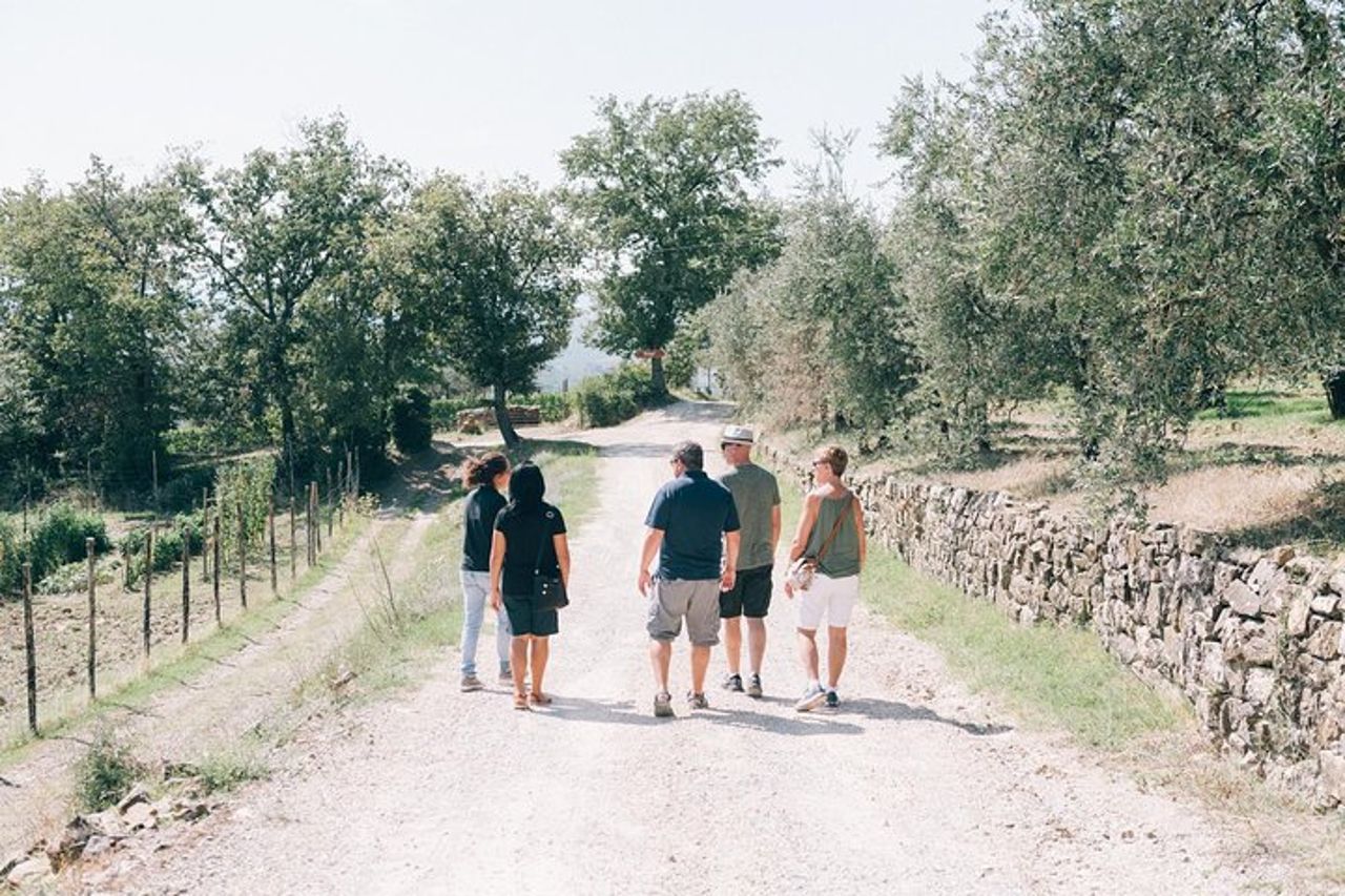 Tour privato del vino off road nel Chianti da Siena — 8
