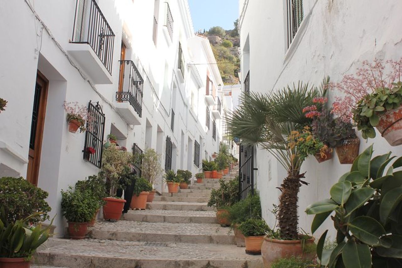 Tour semi-privato a Frigiliana e The Lost Village con pranzo incluso — 5