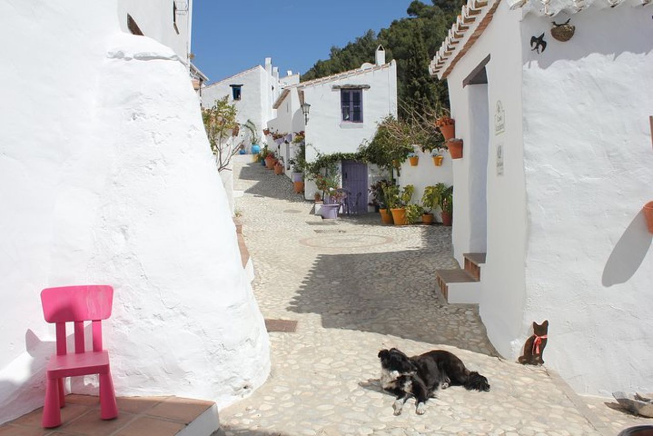 Tour semi-privato a Frigiliana e The Lost Village con pranzo incluso — 8