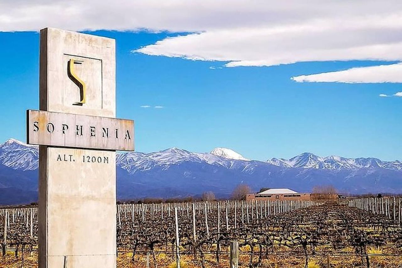 Valle dell'Uco: Paesaggi, vini biologici e sapori tradizionali — 8