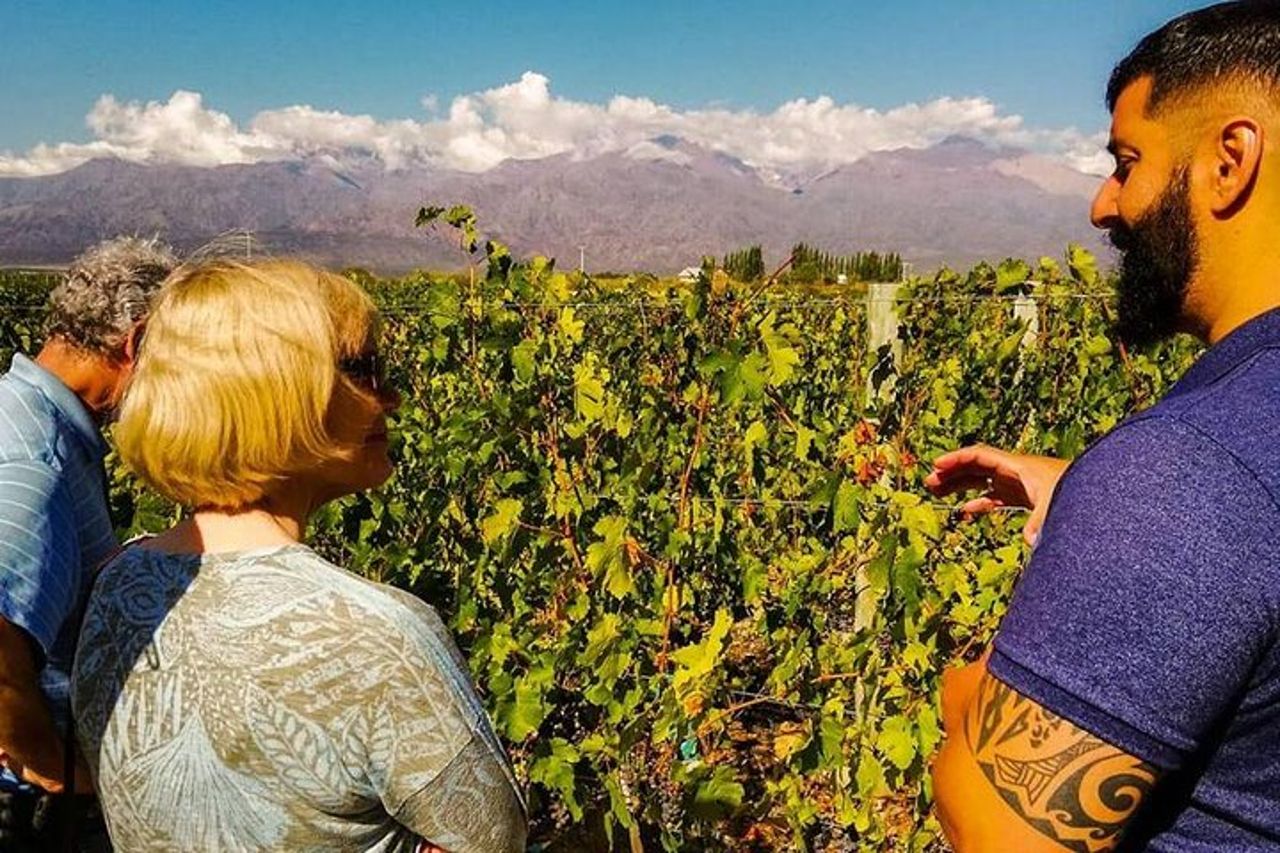 Valle dell'Uco: Paesaggi, vini biologici e sapori tradizionali — 3