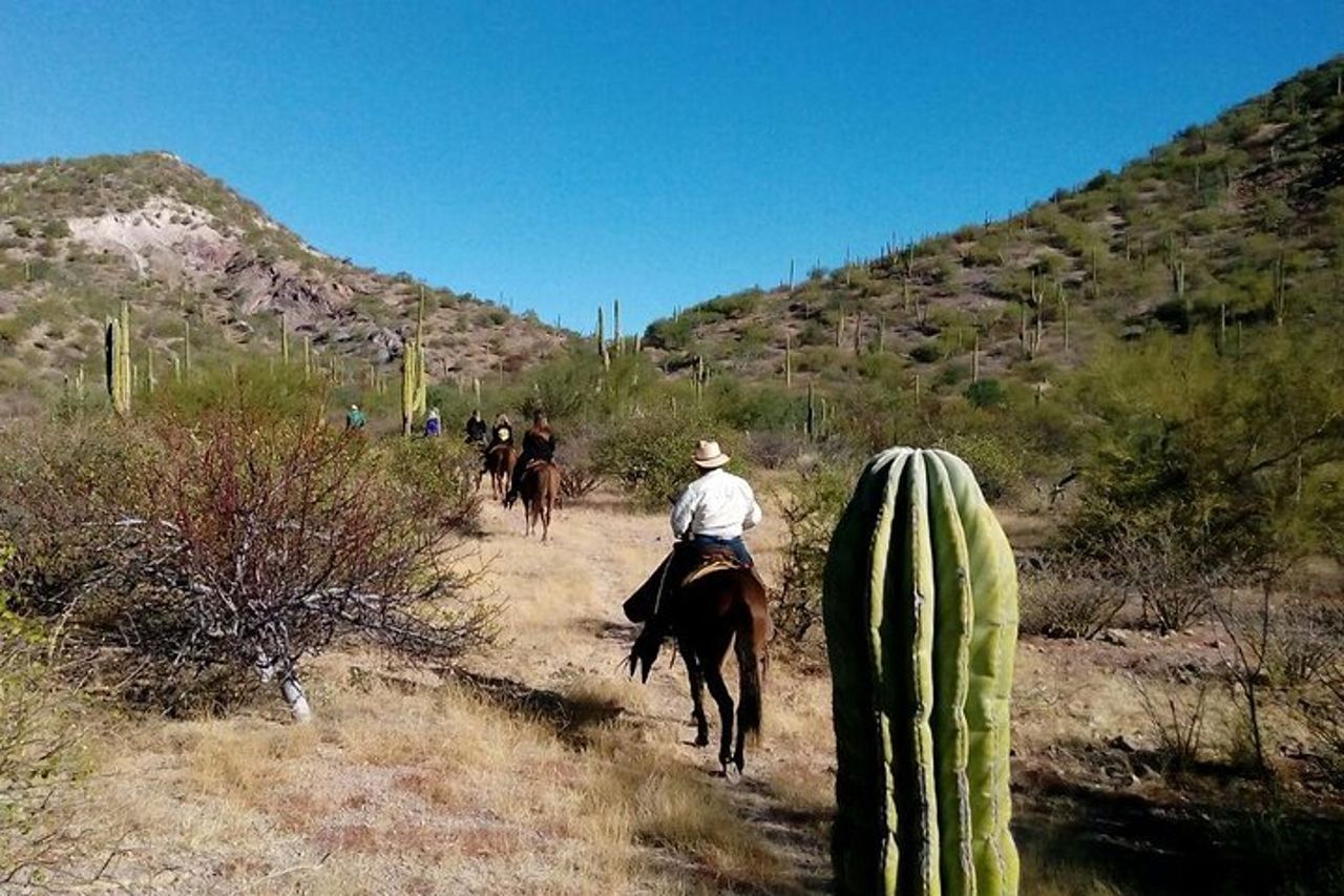 Tour a cavallo nel deserto del Baja Desert
