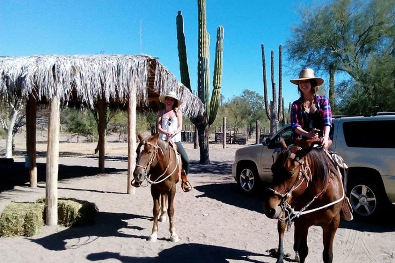 Tour a cavallo nel deserto del Baja Desert — 2