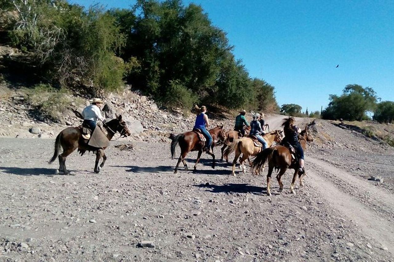Tour a cavallo nel deserto del Baja Desert — 3