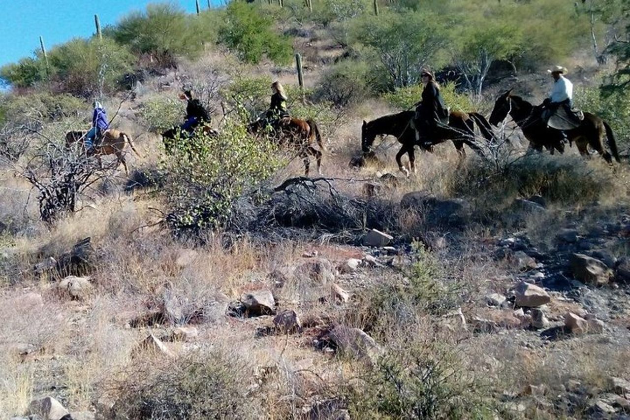 Tour a cavallo nel deserto del Baja Desert — 4