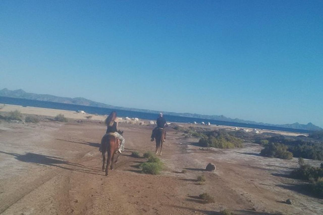 Tour a cavallo nel deserto del Baja Desert — 5
