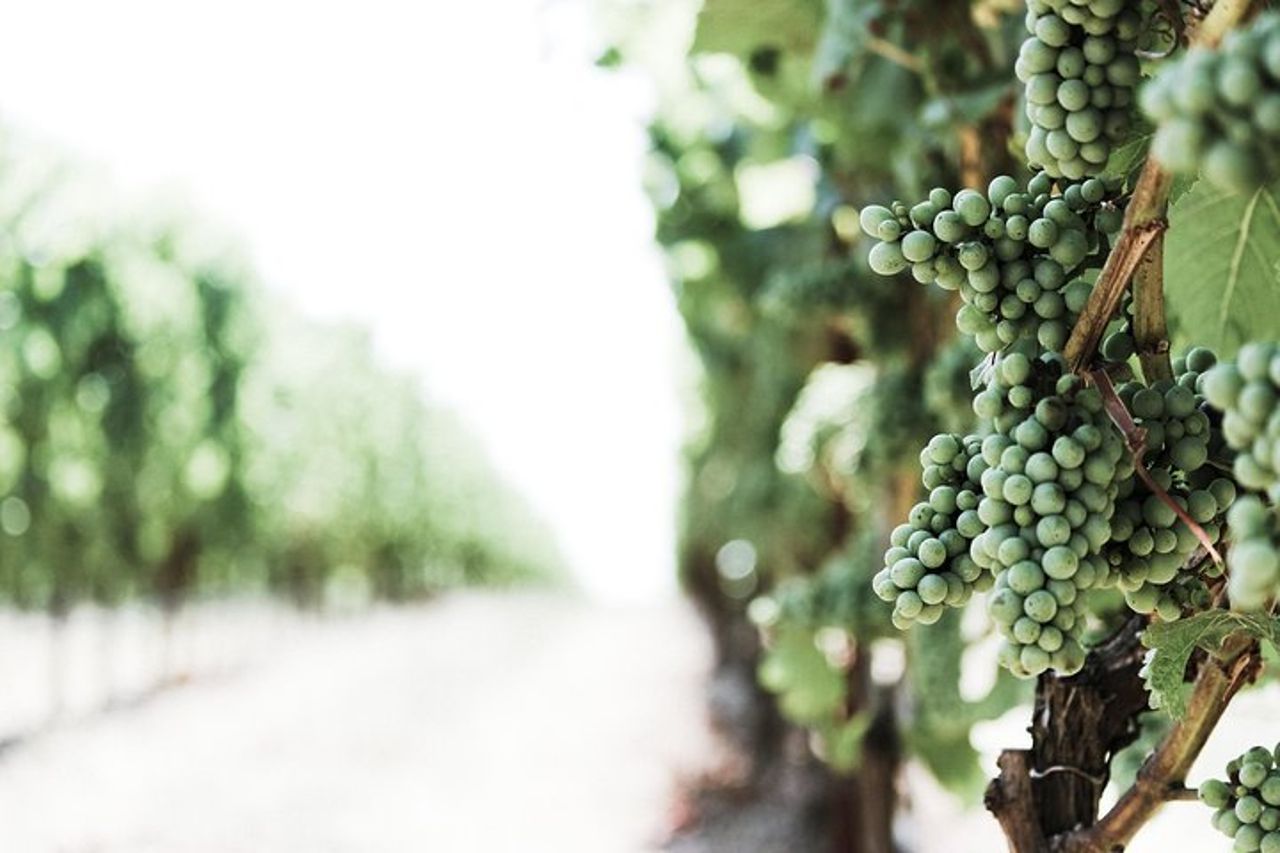 Umbria Food & Wine- Tour privato di 8 notti — 4