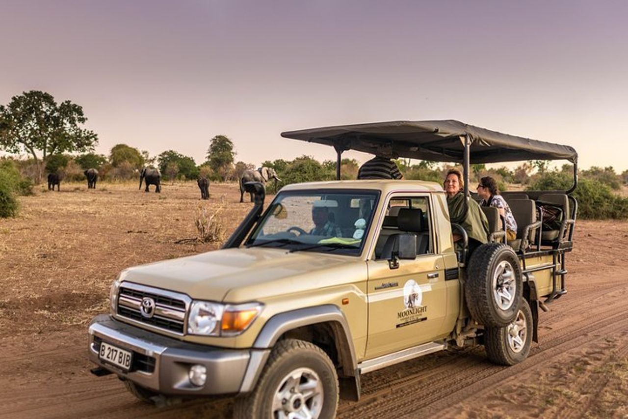 Safari di campeggio notturno di Chobe — 3