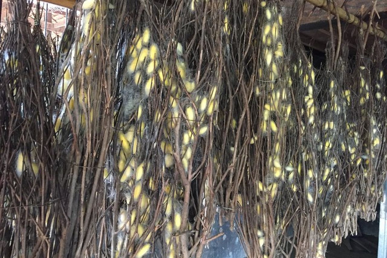 Crociera sull'Isola del Seta del Mekong: birra illimitata, bevande analcoliche e piatto di frutta fresca — 8