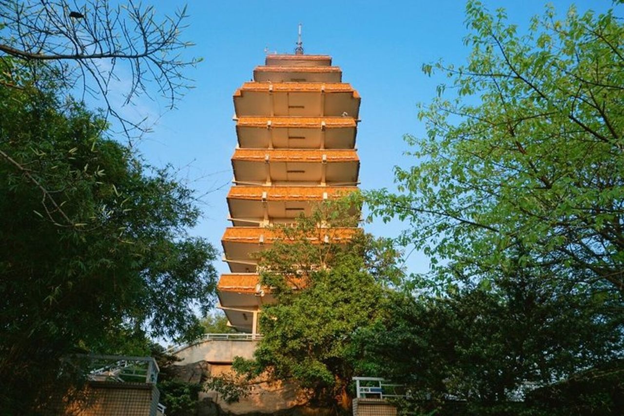 Trascorri due giorni nel tour privato di Chongqing — 3