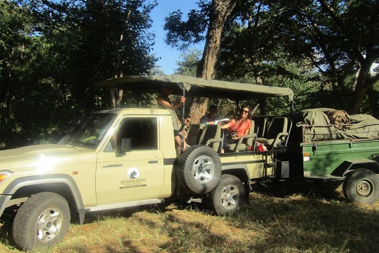 Safari di campeggio notturno di Chobe — 4