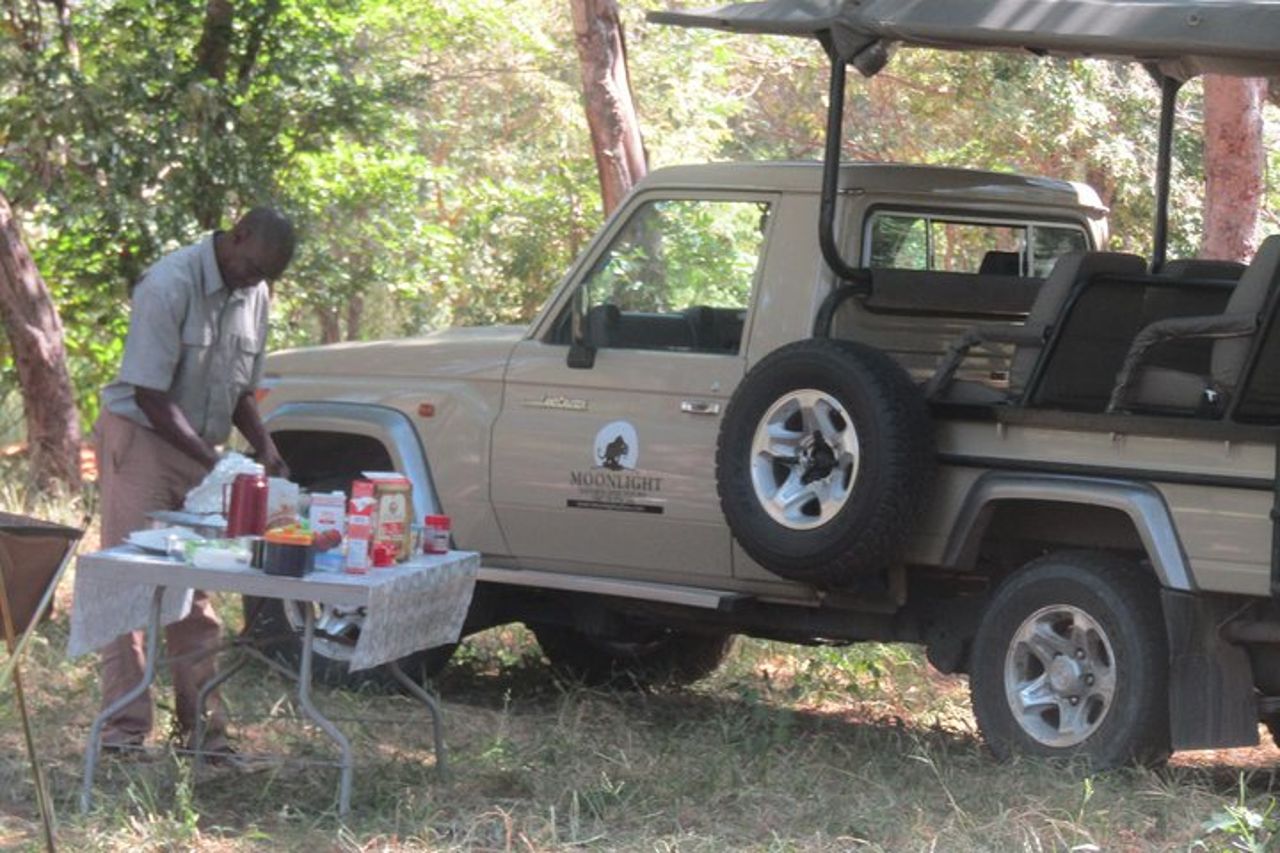 Safari di campeggio notturno di Chobe — 8