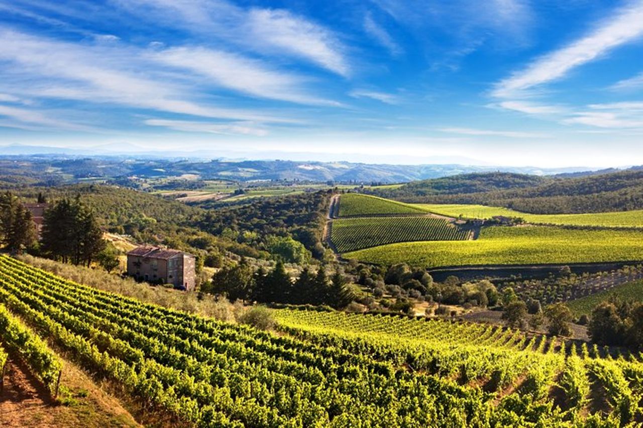 The Taste of Chianti: un tour privato enogastronomico con un pranzo a base di tartufo — 3