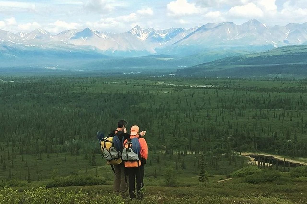 Tour a piedi di 5 ore a Denali con Guida Naturalista — 3