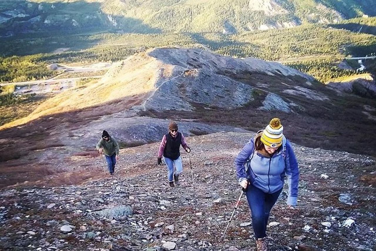 Tour a piedi di 5 ore a Denali con Guida Naturalista — 4