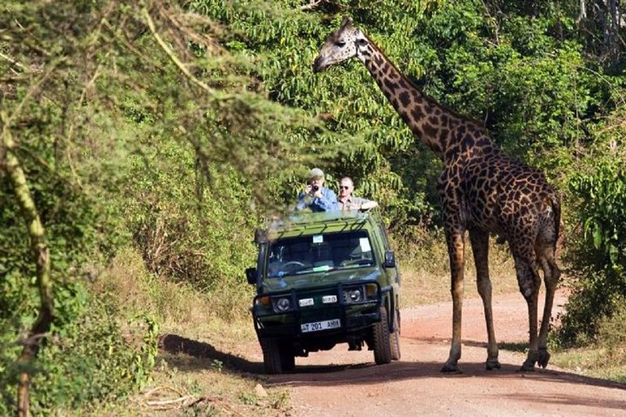 Cratere Tarangire Serengeti Ngorongoro di 4 giorni — 7