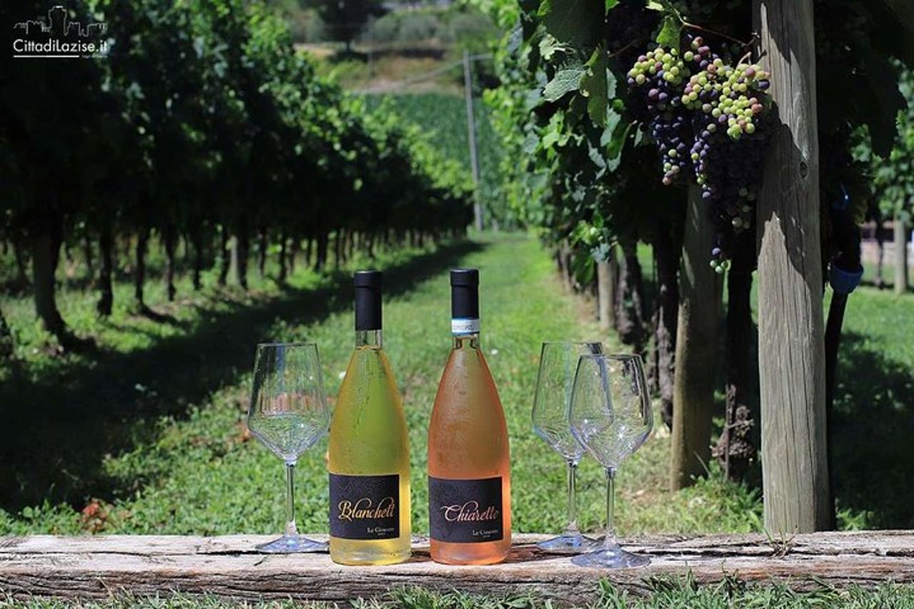 Degustazione enogastronomica nei vigneti di Lazise — 9