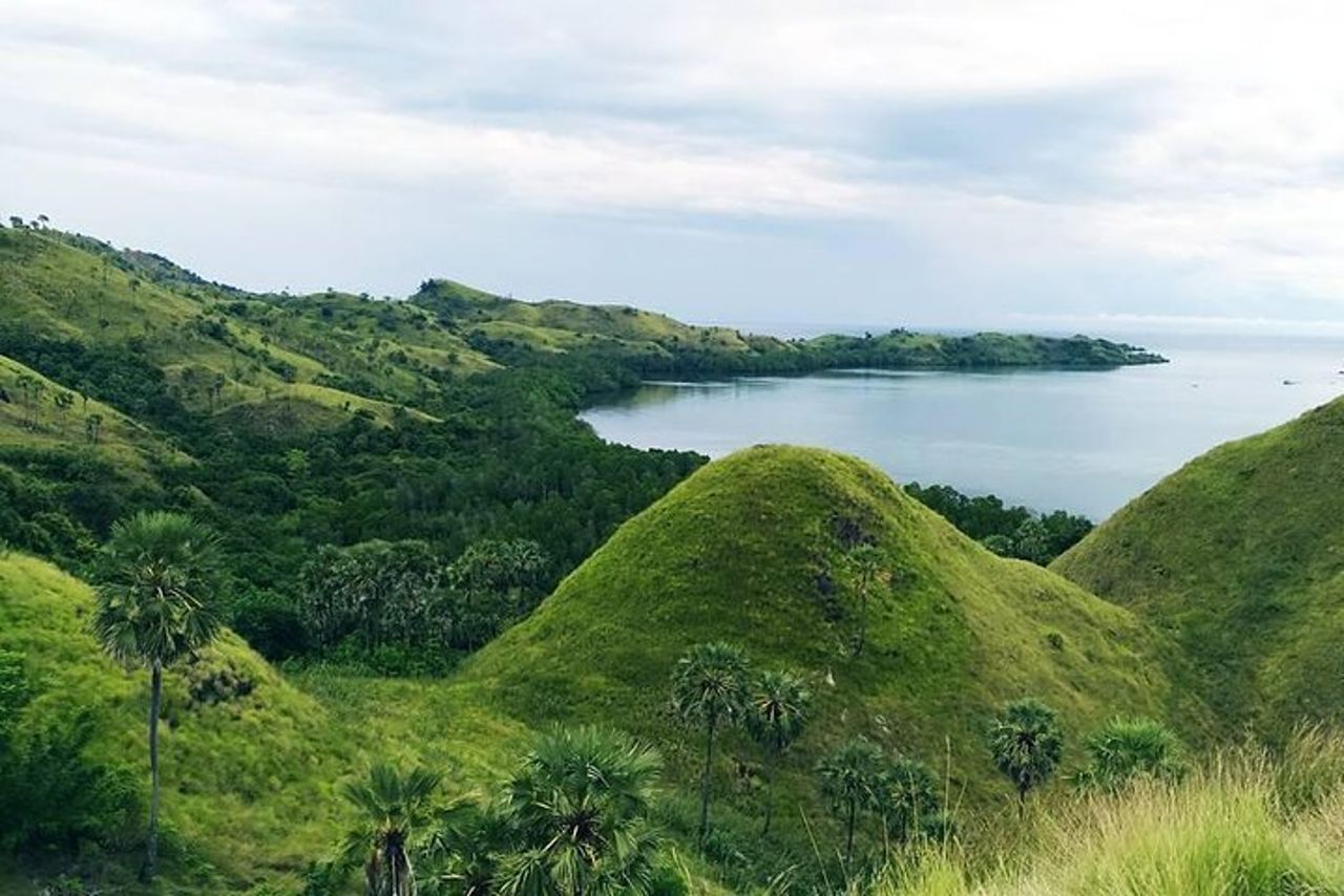 Labuan Bajo in profondità — 2