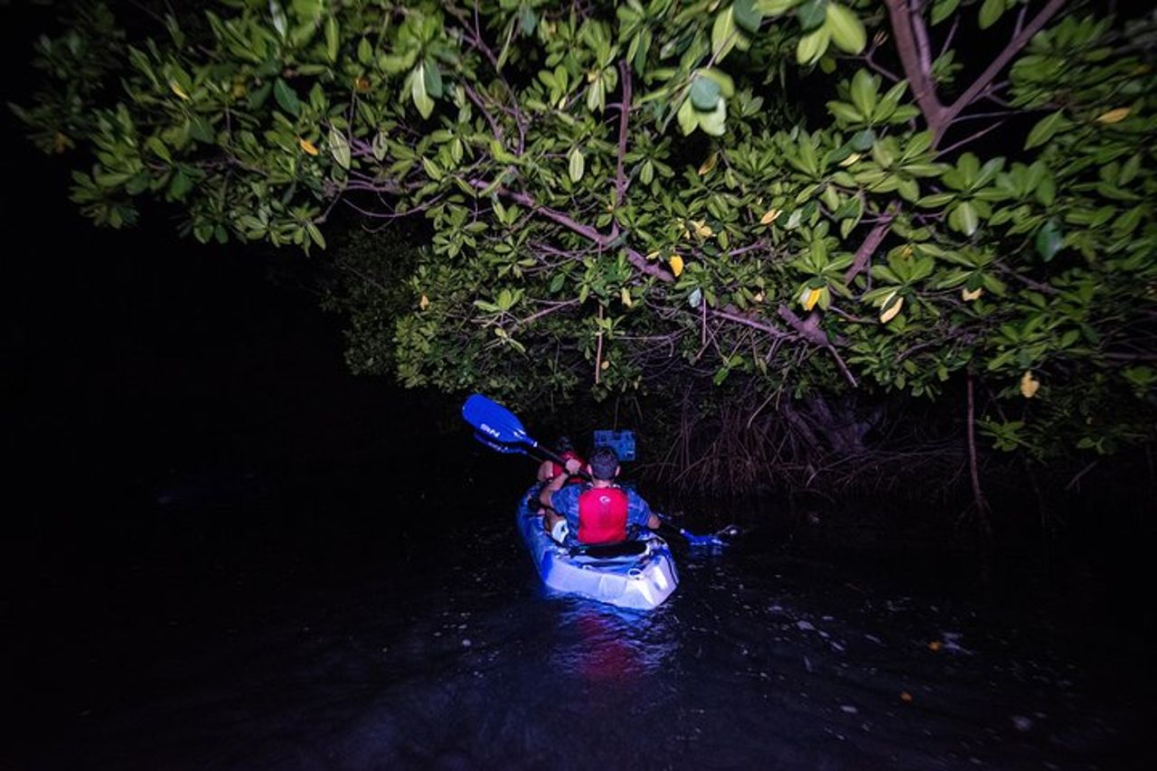 Bioluminescent Bay Kayak Adventure da San Juan