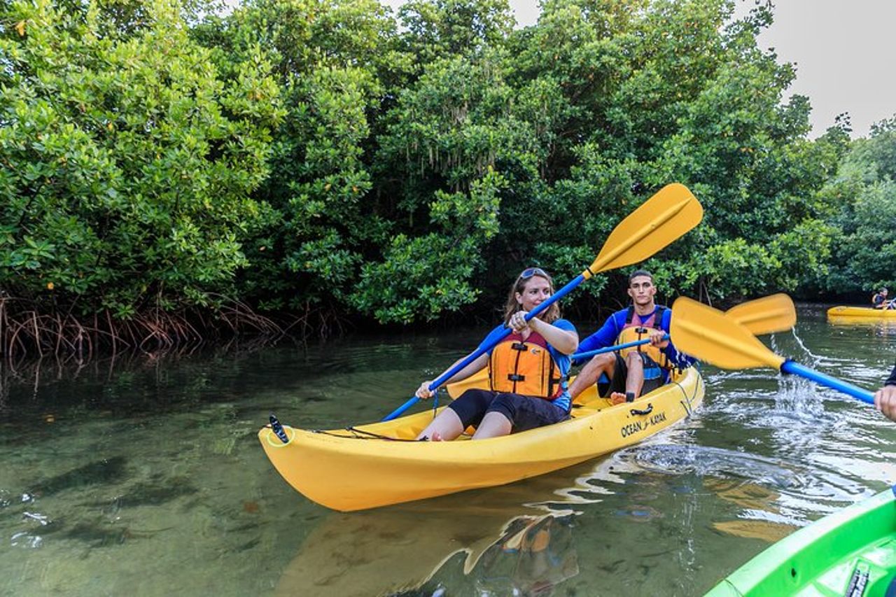 Tour del trio: El Yunque, Luquillo Beach e kayak notturno a Bio Bay — 4