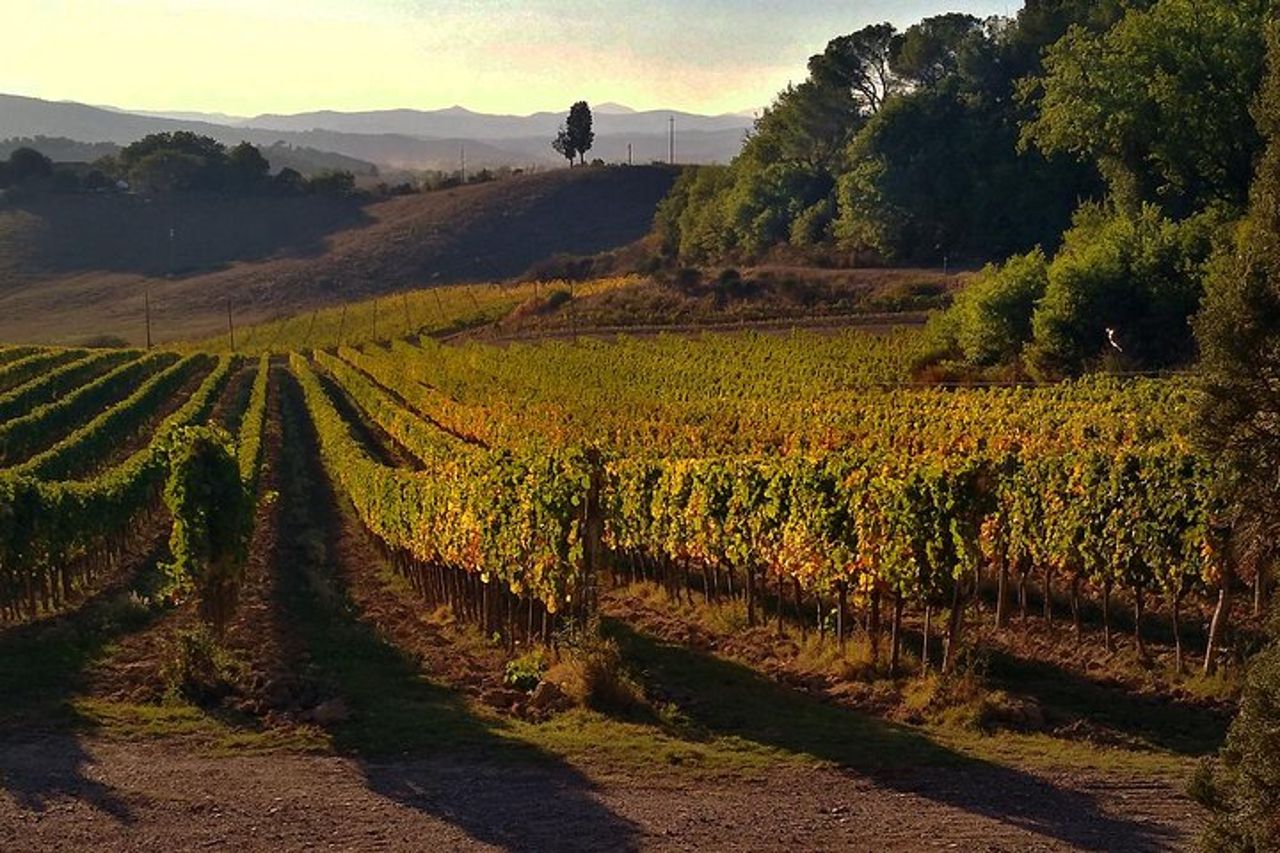 Grand Tour di Pienza, Montalcino, Montepulciano + degustazione di vini e formaggi — 4