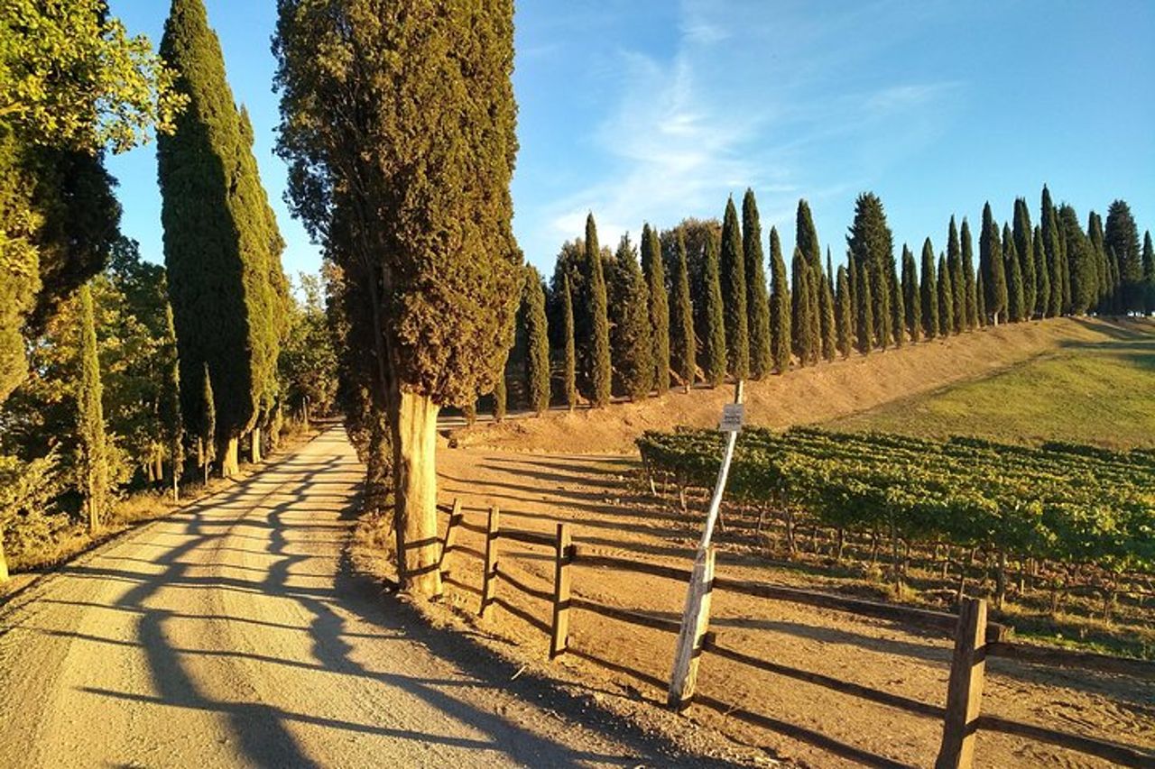 Grand Tour di Pienza, Montalcino, Montepulciano + degustazione di vini e formaggi — 8