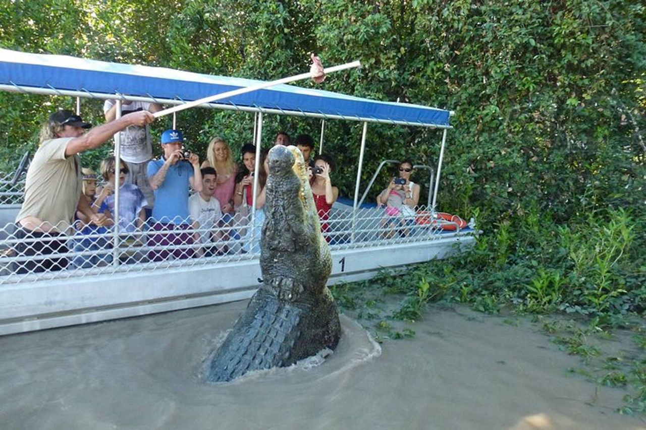 Crociere sul fiume Adelaide - Jumping Crocodile Experience — 2