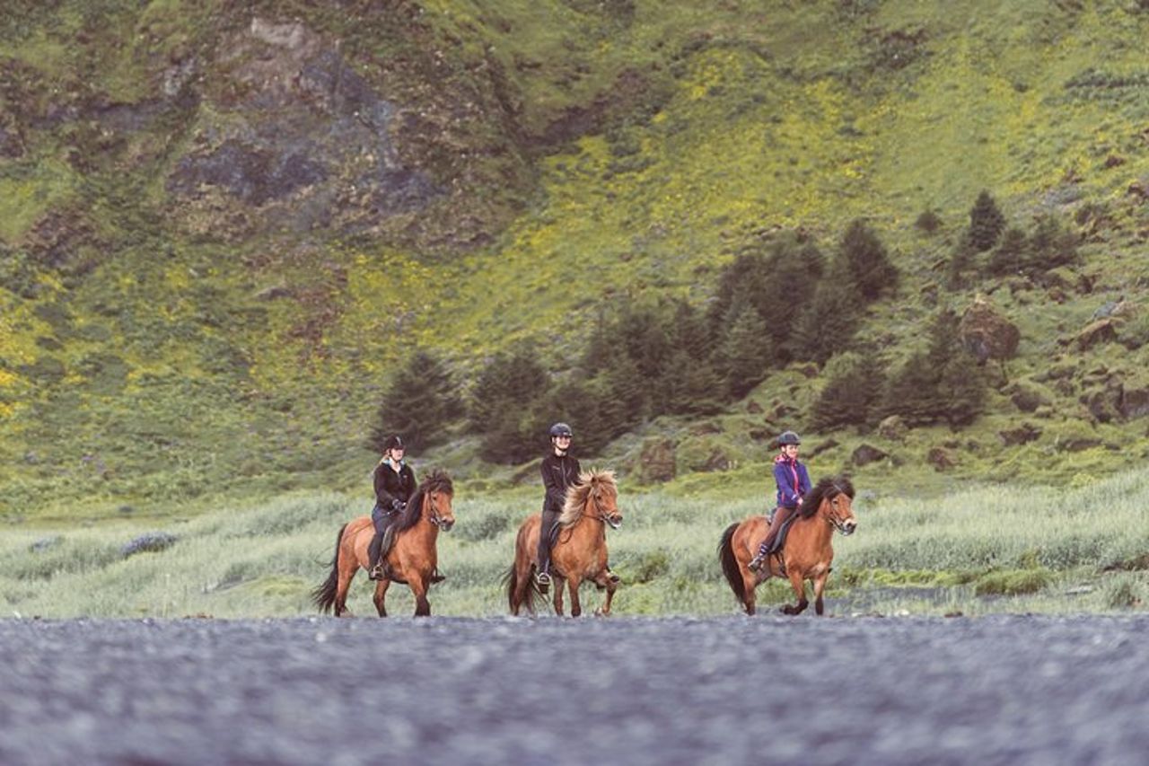 Tour a cavallo della Black Sand Beach da Vik — 7
