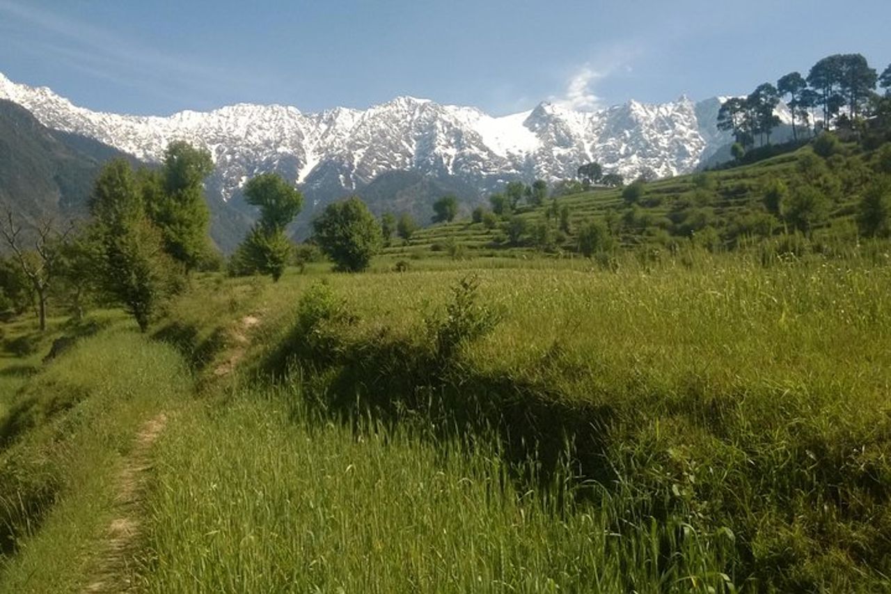 7 giorni Dharamsala - Dalai Lama home Trek — 2