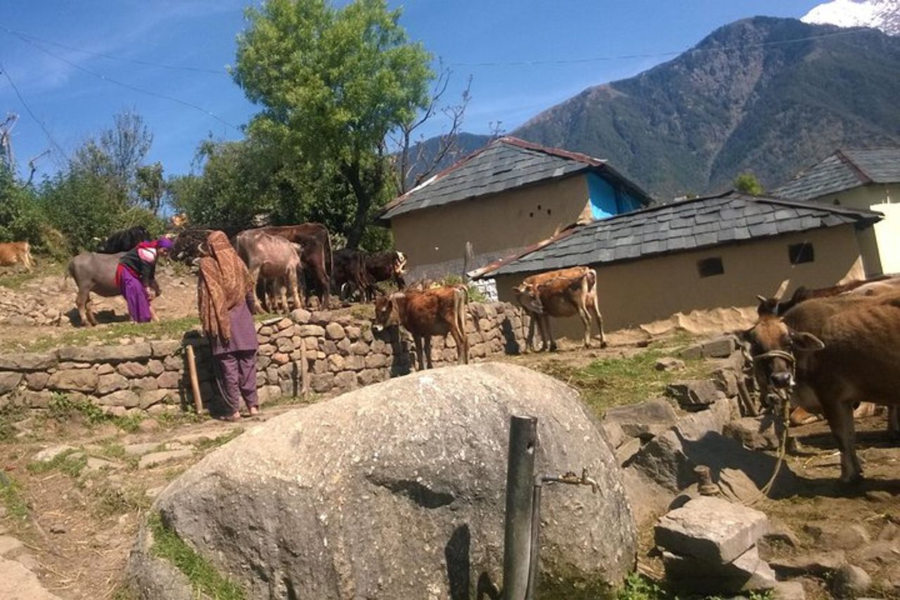 7 giorni Dharamsala - Dalai Lama home Trek — 4