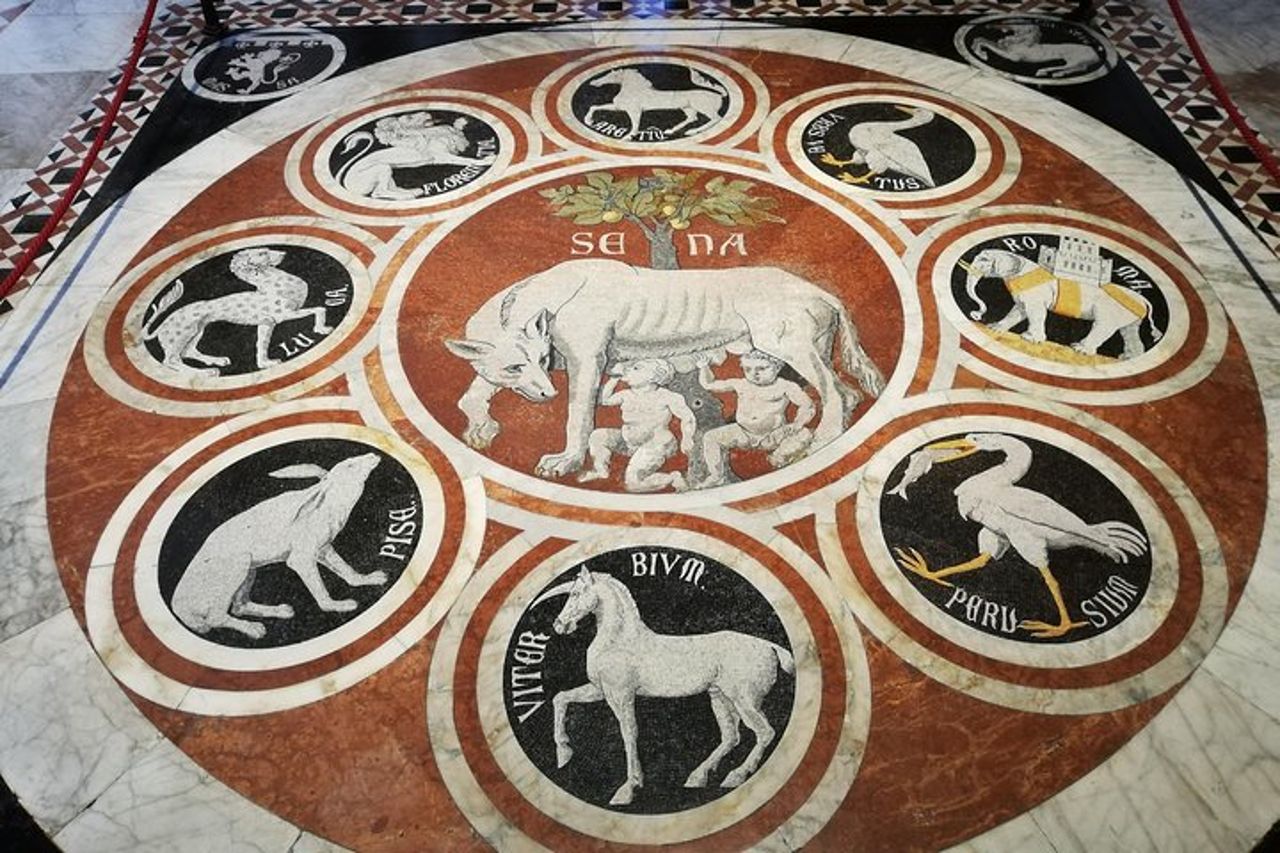 Siena: Tour guidato di Siena con Duomo o Museo — 7