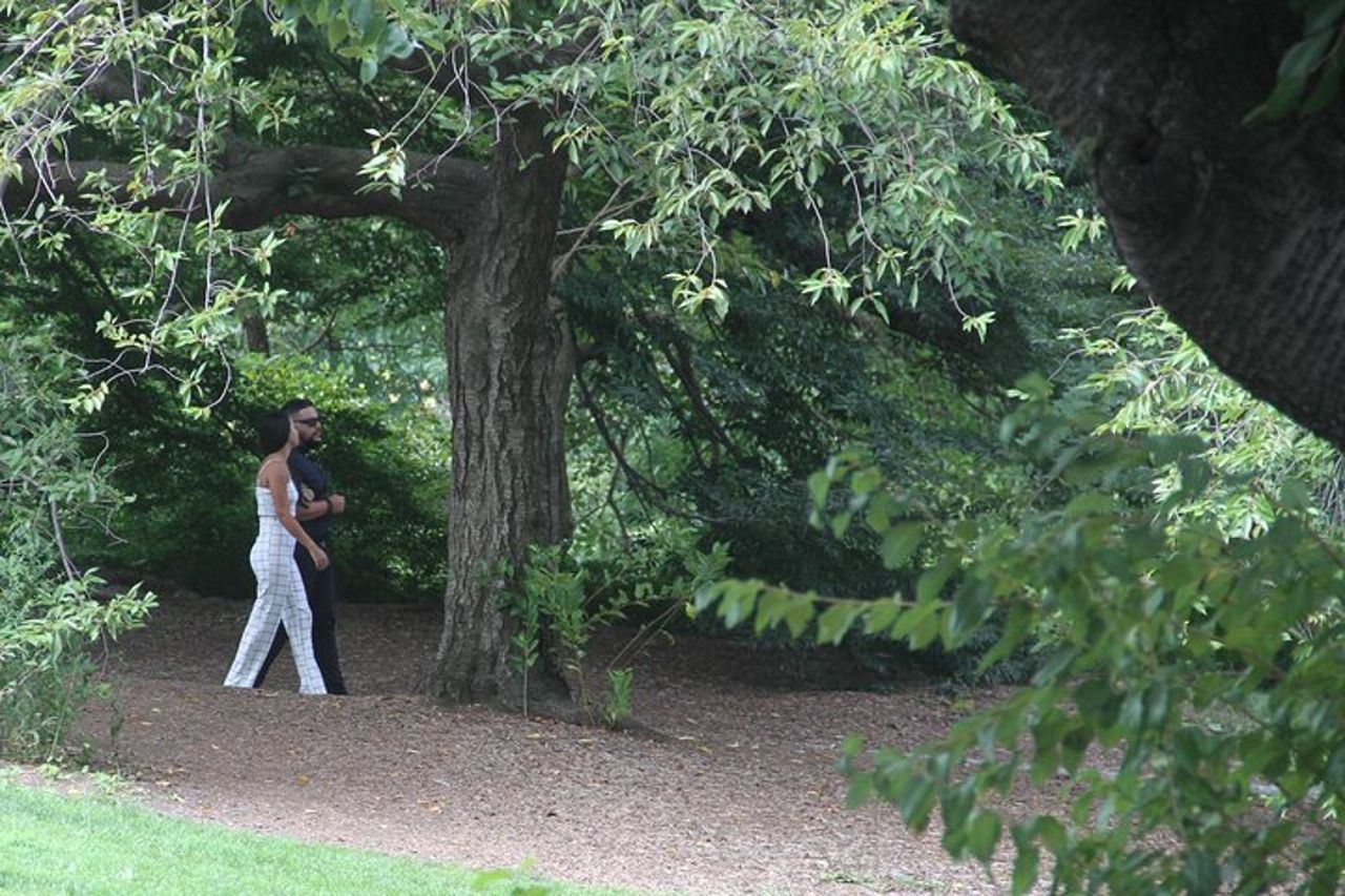 Proposta romantica Tour in carrozza a Central Park — 9