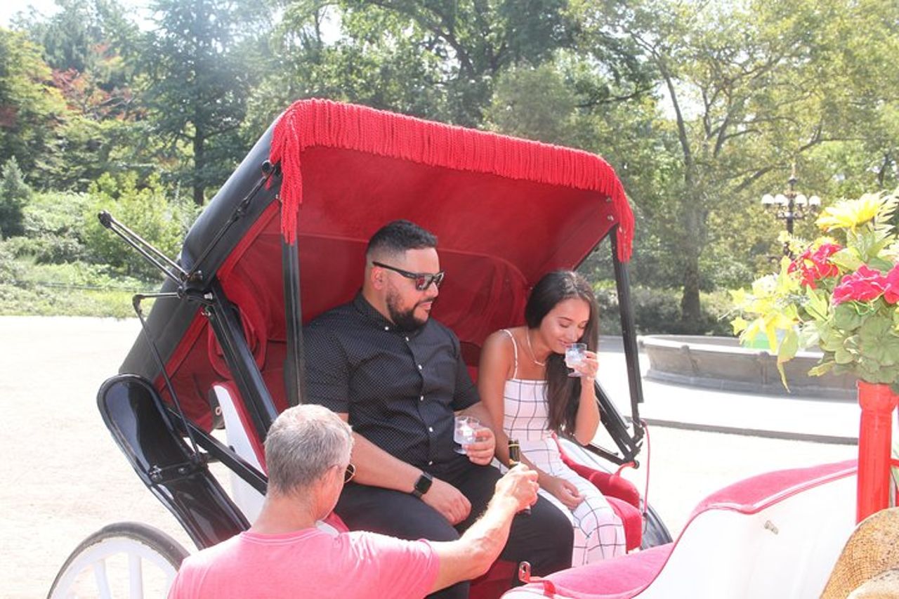 Proposta romantica Tour in carrozza a Central Park — 2
