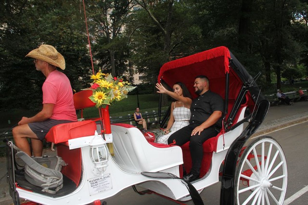 Proposta romantica Tour in carrozza a Central Park — 7