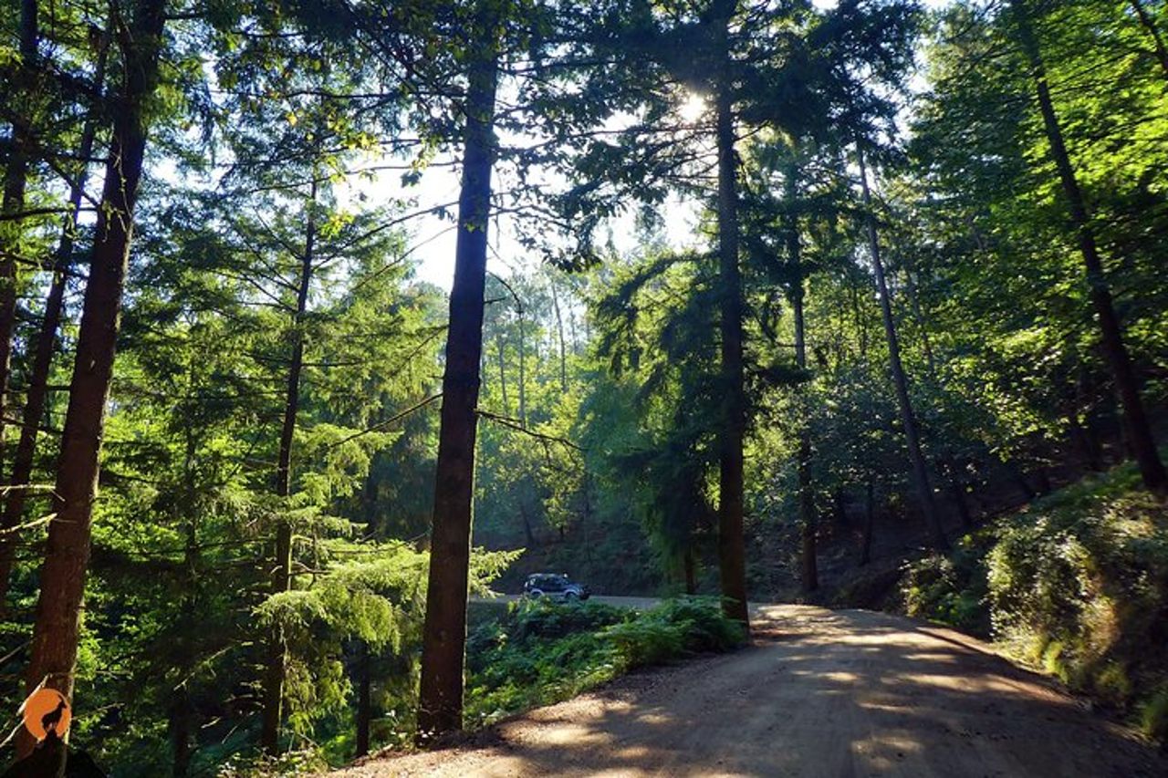Alla scoperta della natura a Serra da Lousã — 6