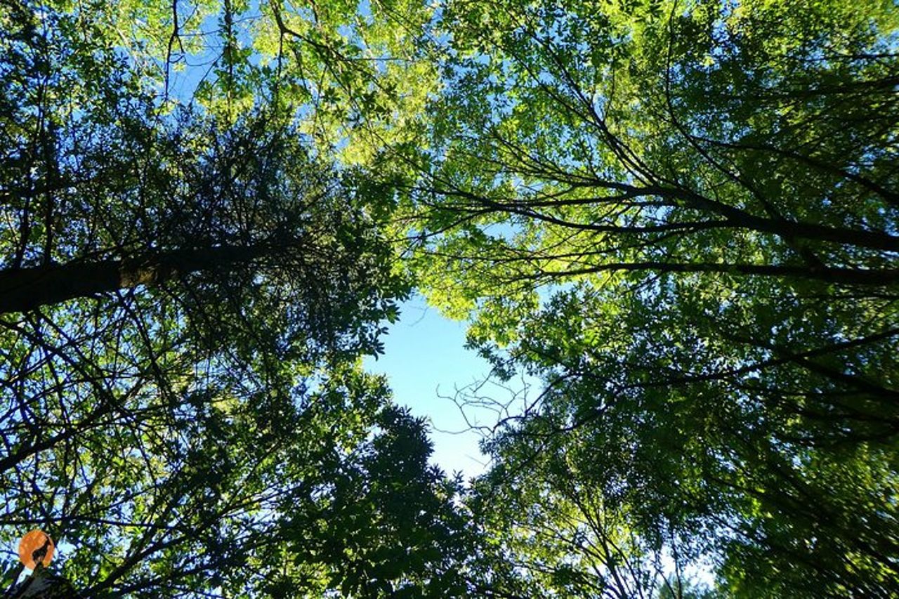 Alla scoperta della natura a Serra da Lousã — 9