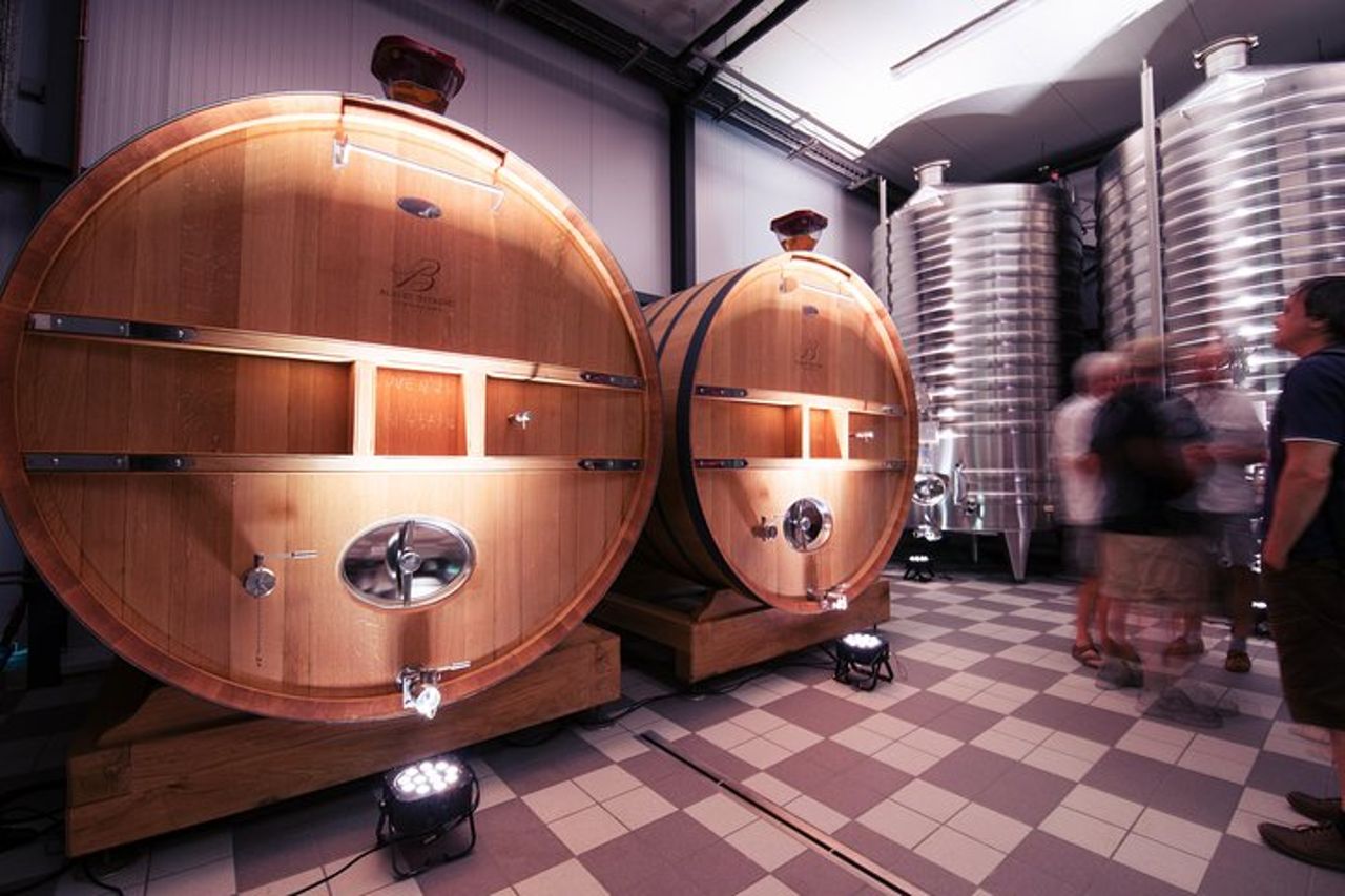 Tour e degustazione di Champagne Albert Beerens — 4