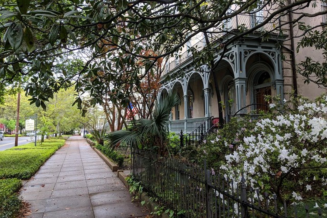 Tour privato dei quartieri storici/vittoriani di Savannah e del cimitero di Bonaventura
