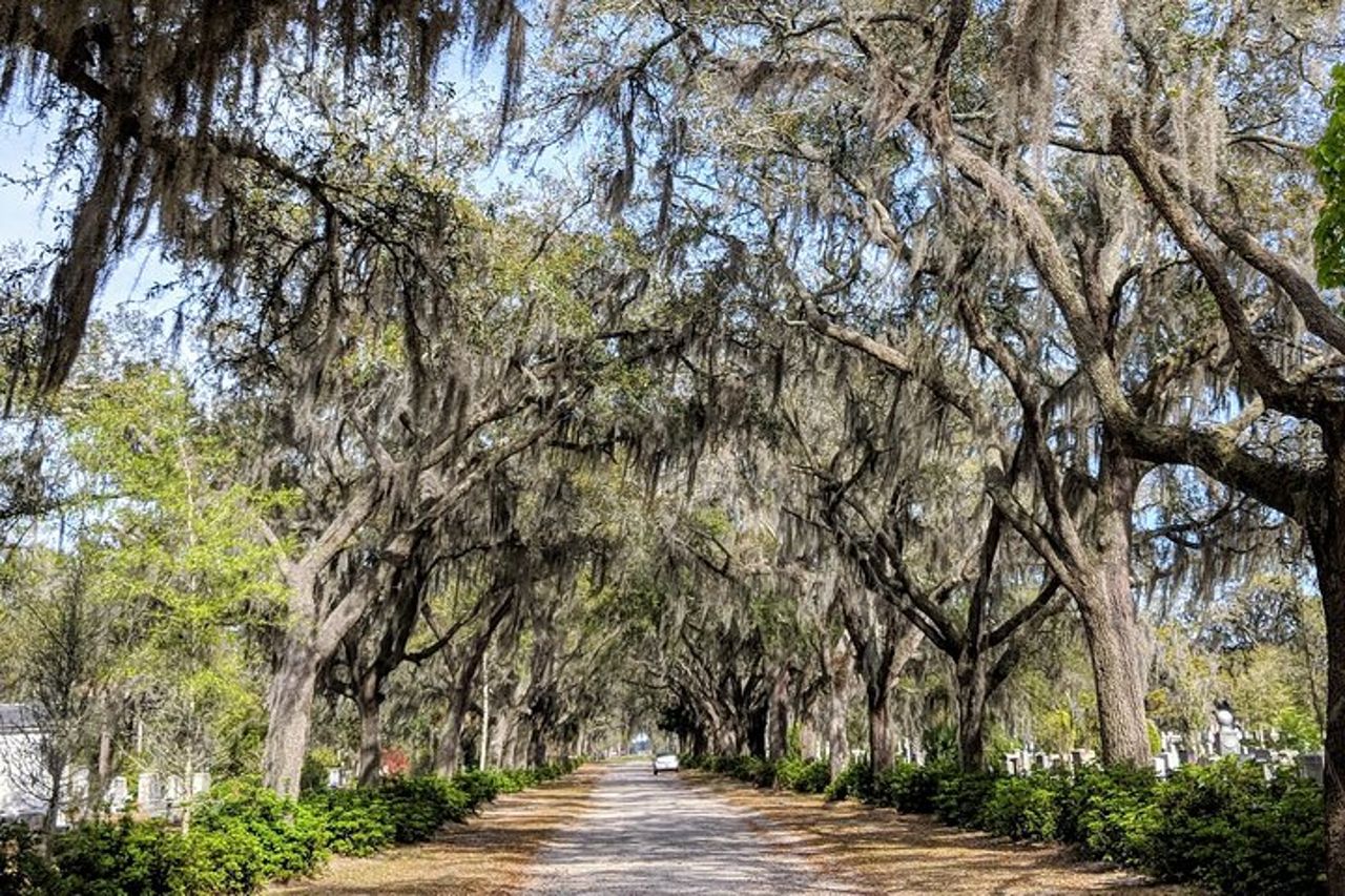 Tour privato dei quartieri storici/vittoriani di Savannah e del cimitero di Bonaventura — 2