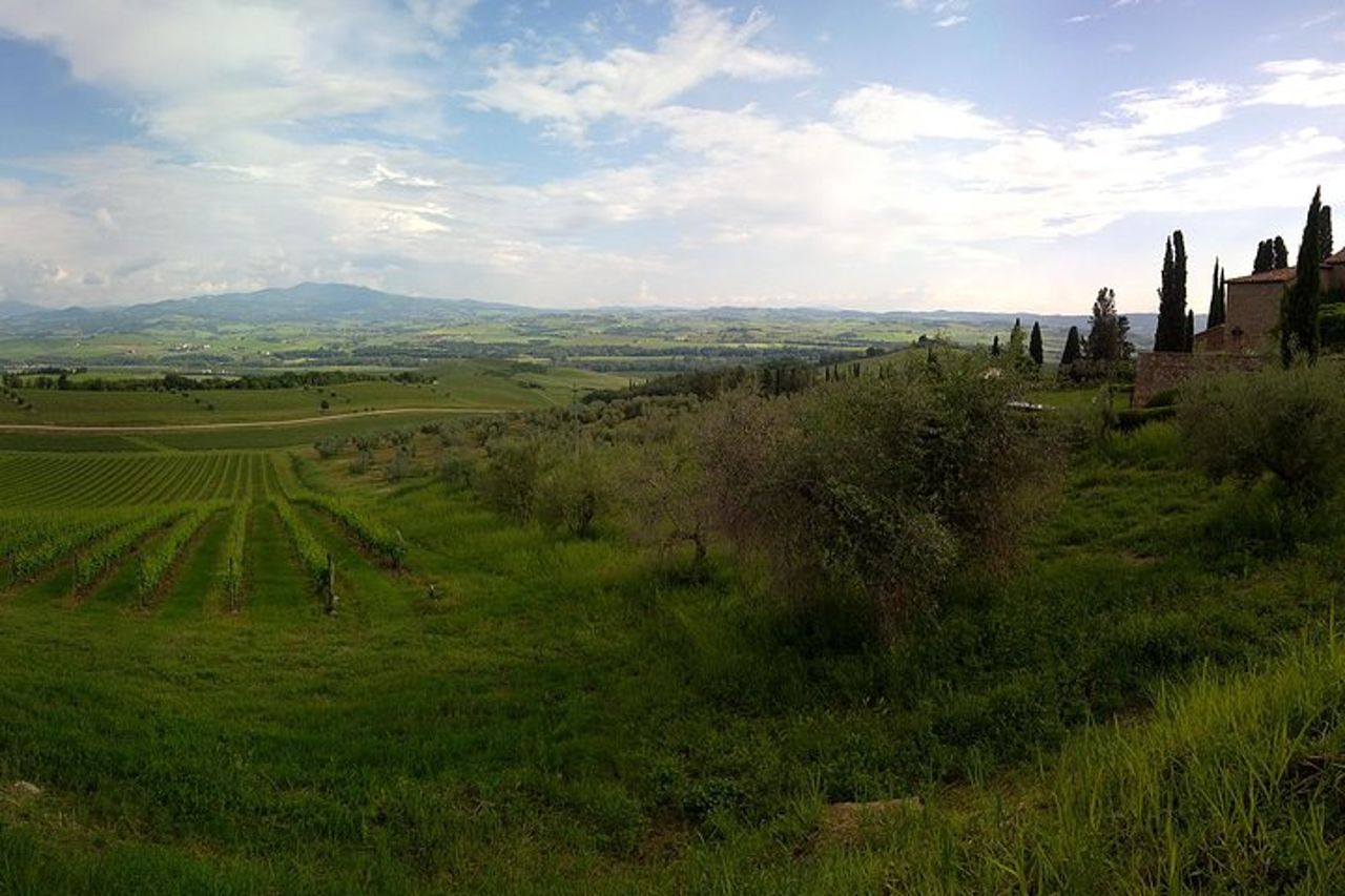Tour privato di un giorno in Toscana dal porto di Civitavecchia — 8