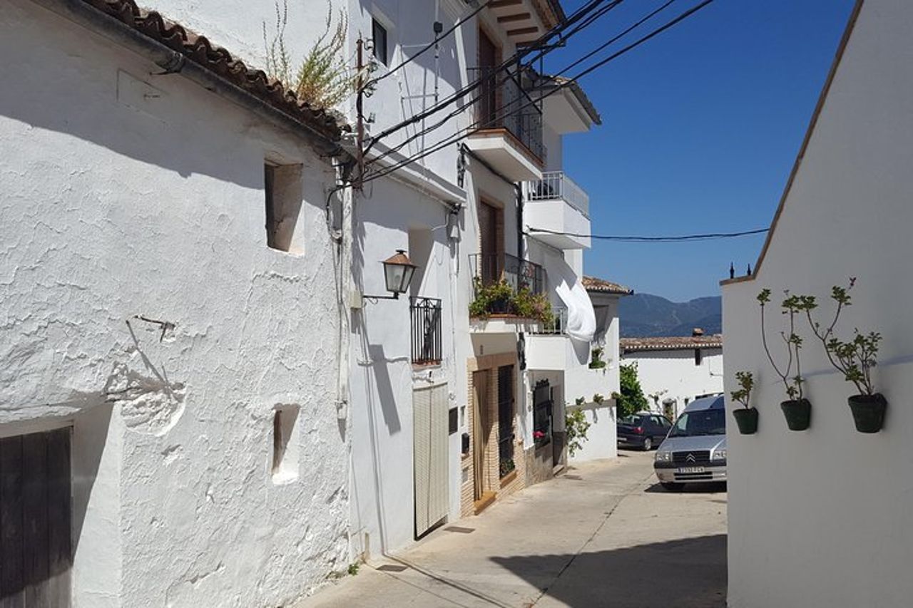Tour del vino e delle tapas in bici elettrica (e-bike) incluso il ritiro a Ronda (mezza giornata)