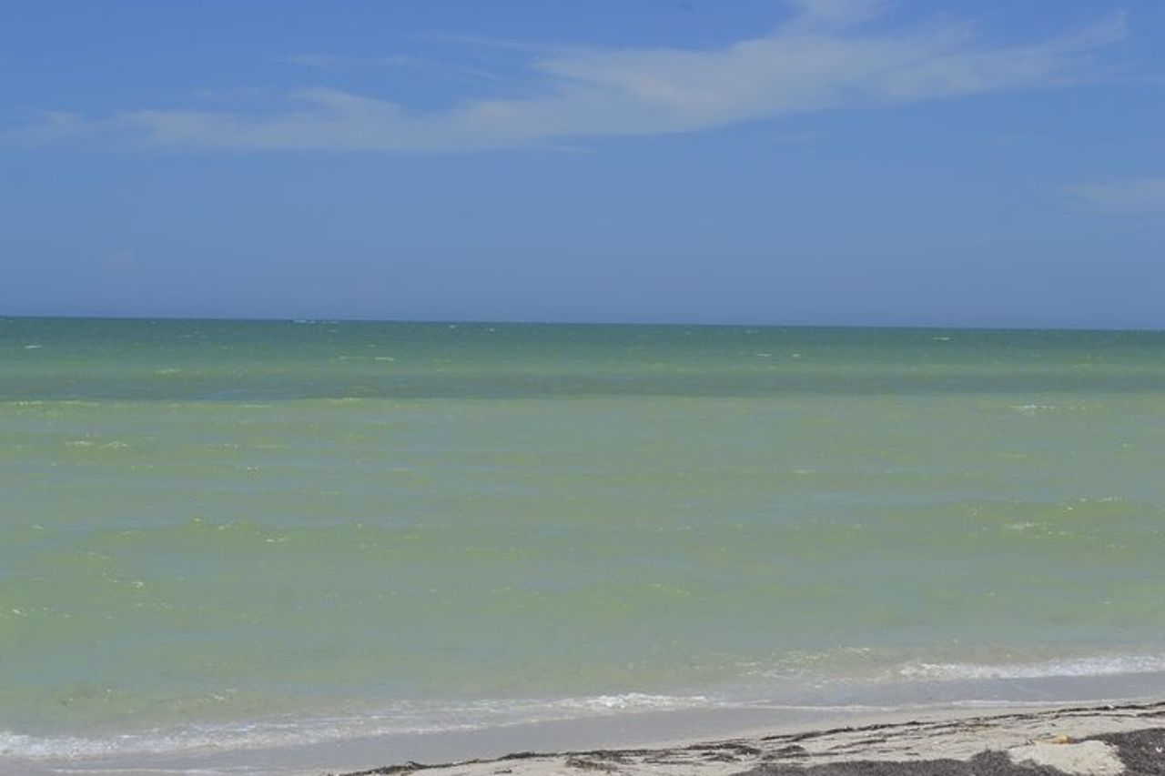 Coloradas Bioexperiences — 2