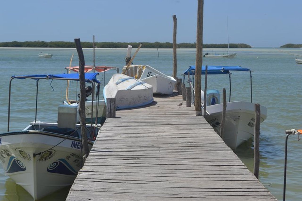 Coloradas Bioexperiences — 4
