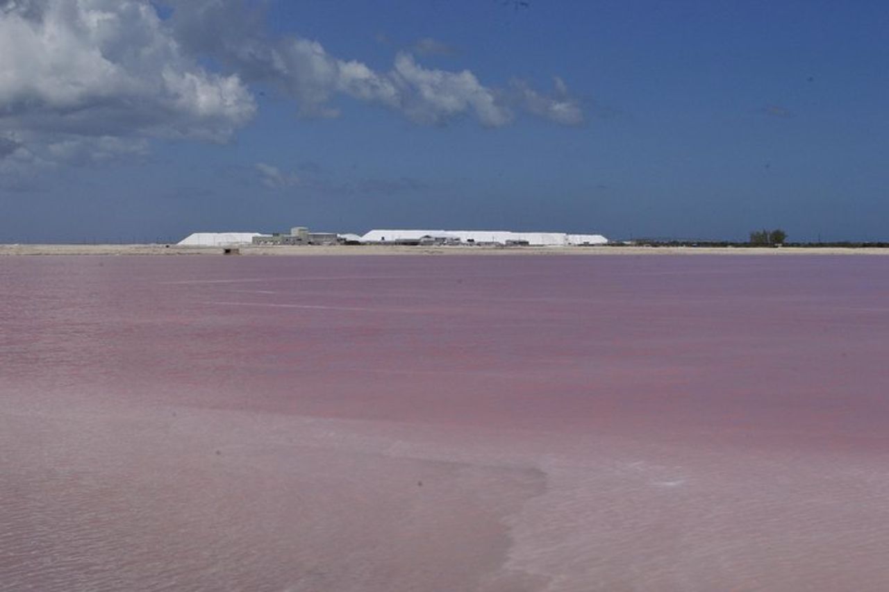 Coloradas Bioexperiences — 9
