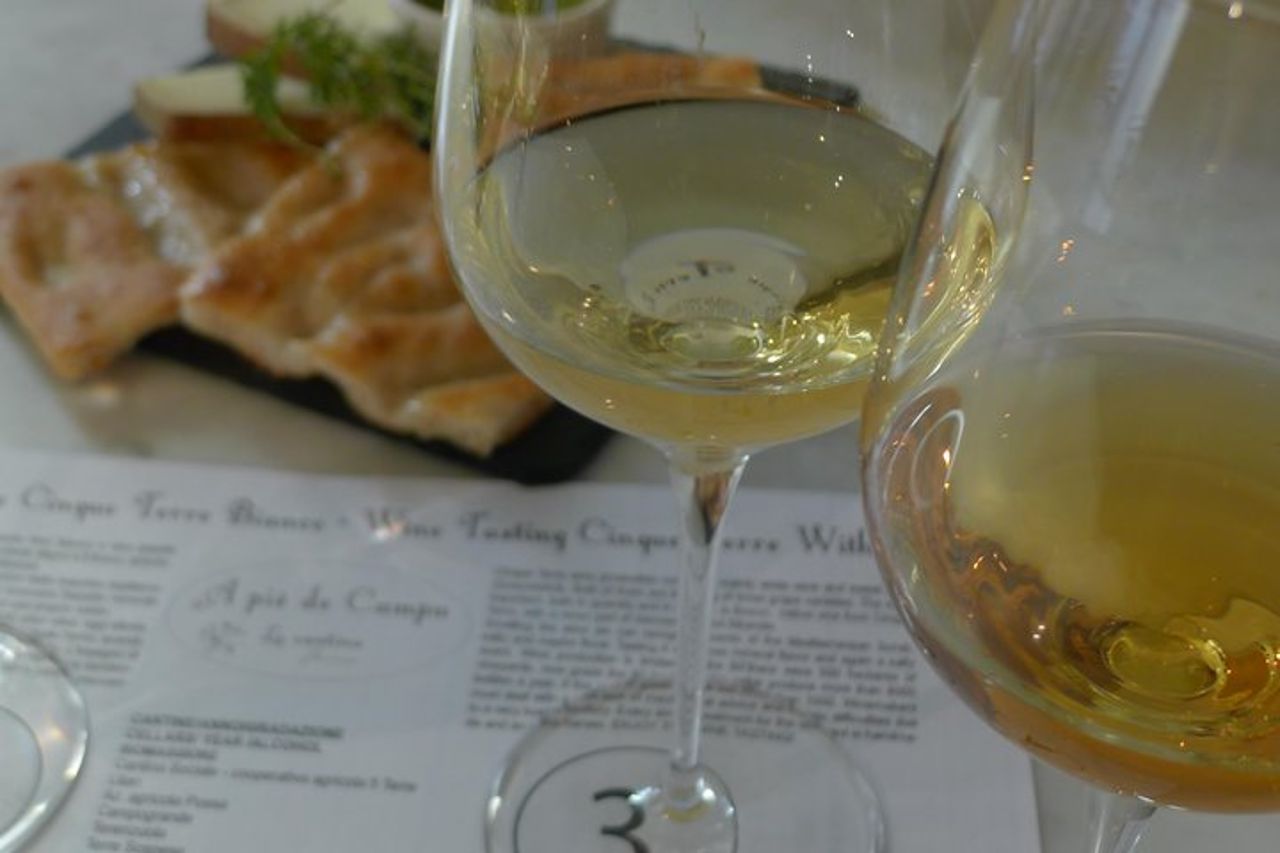 degustazione e passeggiata fra i vigneti delle cinque terre — 4