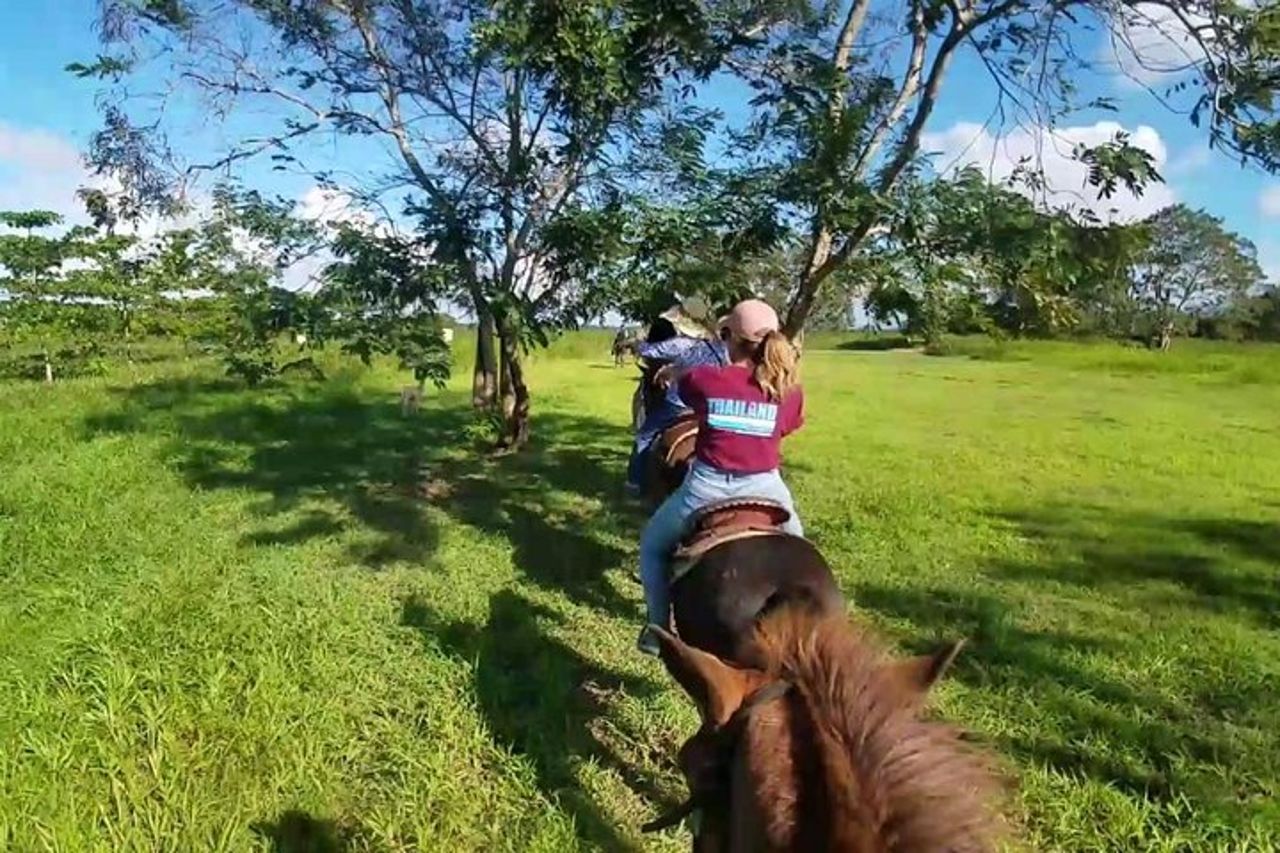 Tour panoramico a cavallo da San Juan — 7