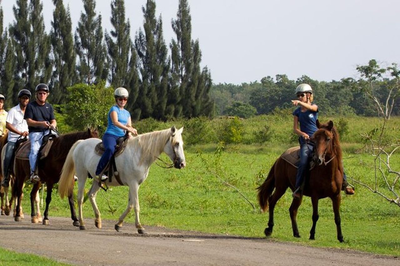 Tour panoramico a cavallo da San Juan — 2